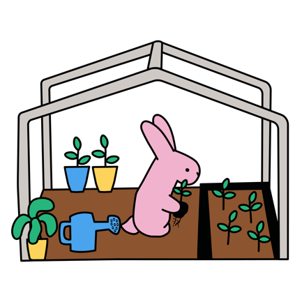 Transplanting
