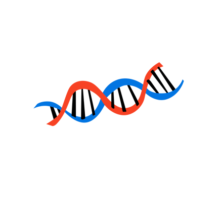 Dna