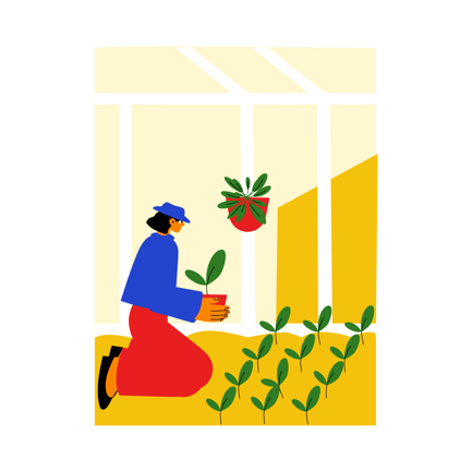 Transplanting