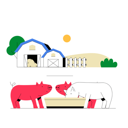 Animated Pig Herd Eating at Farm