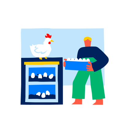 Egg Production