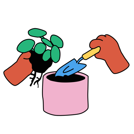 Potting Plant