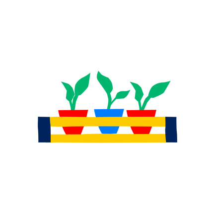 Indoor Plants