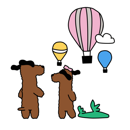 Hot Air Balloon Experience