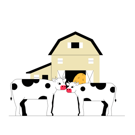 Animated Cow Herd Nuzzling in Front of a Barn