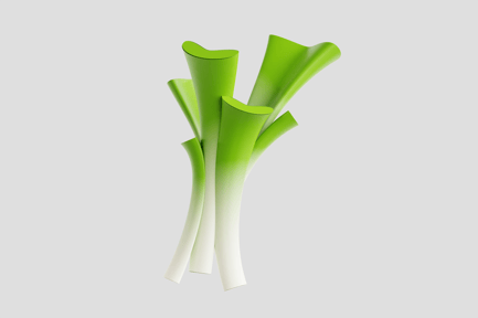 Preview: Leek Green Vegetable