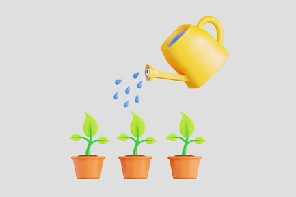 Aperçu: Arroser les plantes
