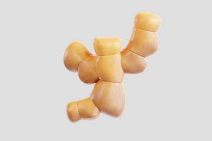 Aperçu: Racine de gingembre 3D