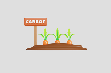 Preview: Carrot Field