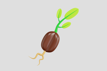 Preview: Growing Seed