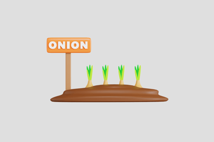 Preview: Onion Field