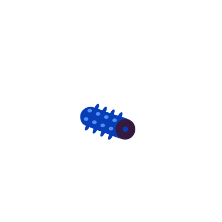 Foam Roller