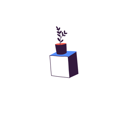 Indoor Plant