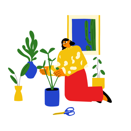 Indoor Plant Care