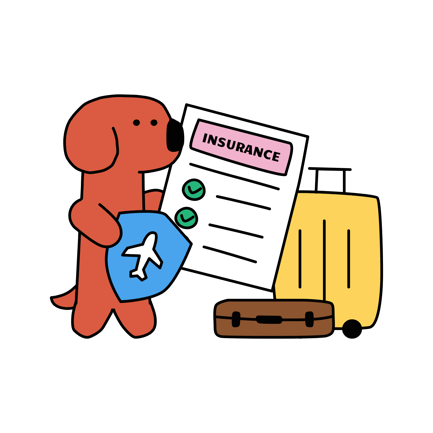 Travel Insurance