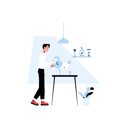 Dog Grooming Illustration with Poodle