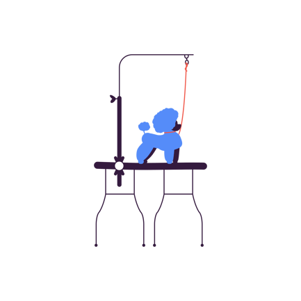 Grooming Stage