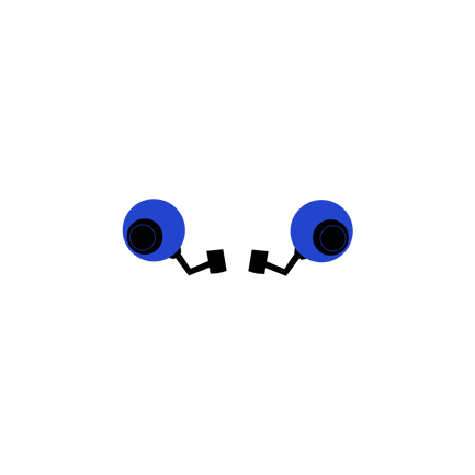 Surveillance Cameras