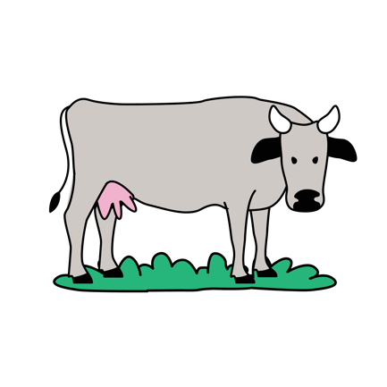 Cattle