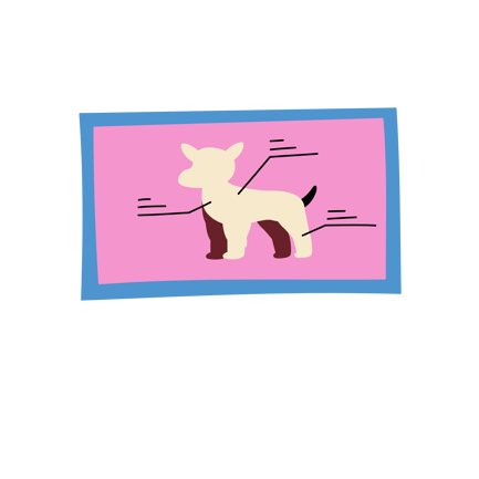Dog Anatomy