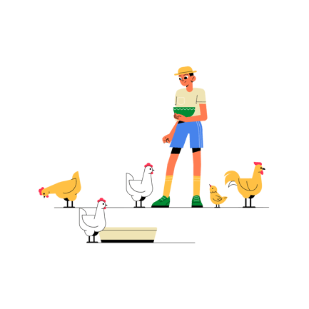 Person Feeding Chickens Animation