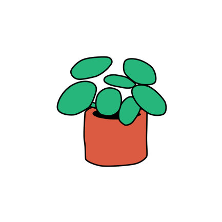 Potted Plant