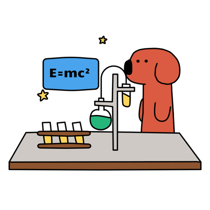 Physics Experiment