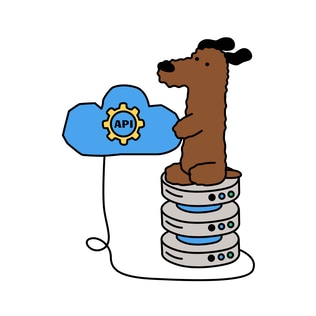 API Integration