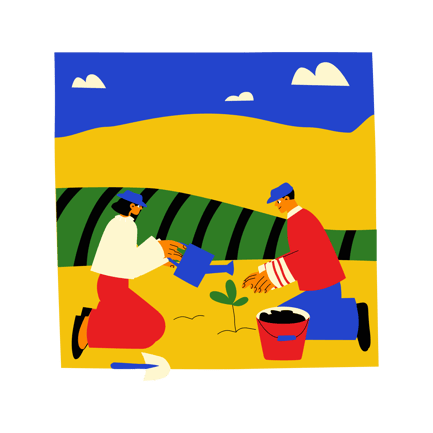 Soil Preparation