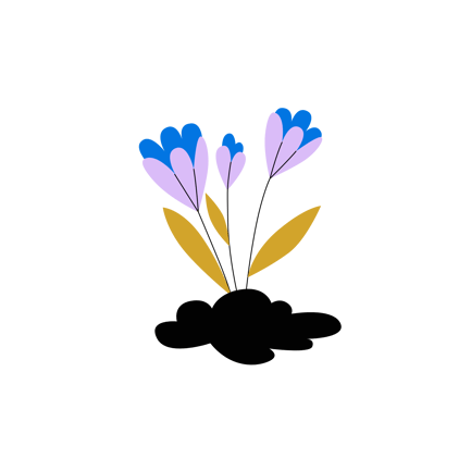 Grow Flowers