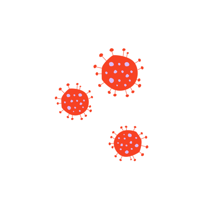 Bacterias