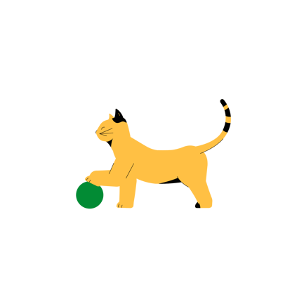 Playful Cat With Ball