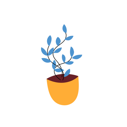 Indoor Plant