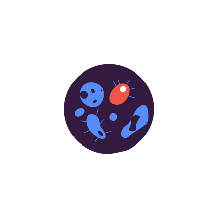 Bacterias