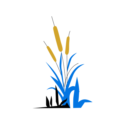 Cattails