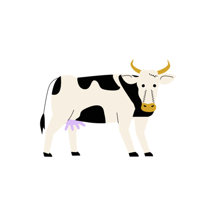 Eid Festival Cow