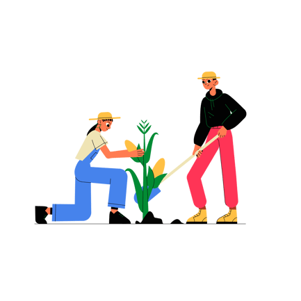 Farmer Couple Tending to Corn Plant