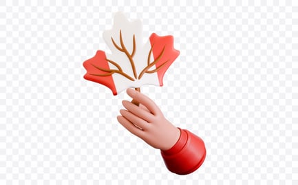 Preview: Hand Holding Maple Leaf 3D Illustration