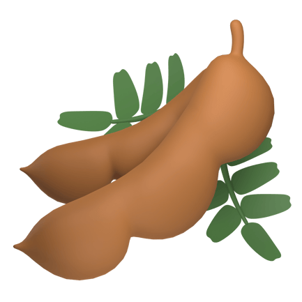 Preview: Tamarind 3d Illustration