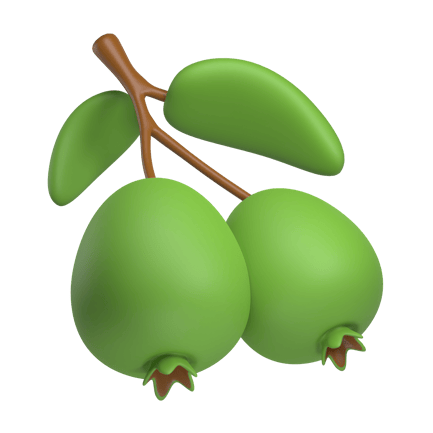 Preview: Feijoa Fruit 3d Illustration