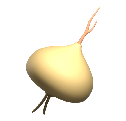 Preview: Yam 3d Illustration