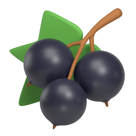 Preview: Blackcurrant 3d icon