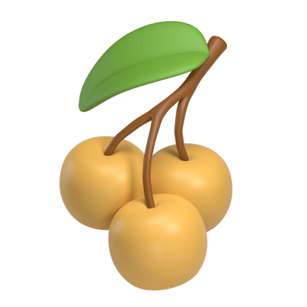 Preview: Longan Fruit 3D Illustration