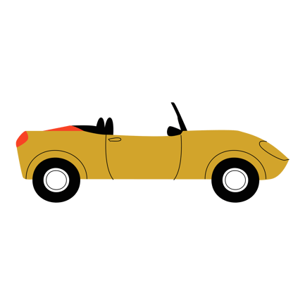 Fashionable Car