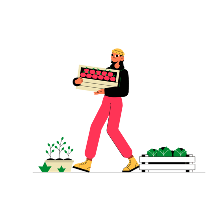 Person Harvesting Fresh Vegetables