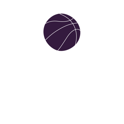 Basketball Ball