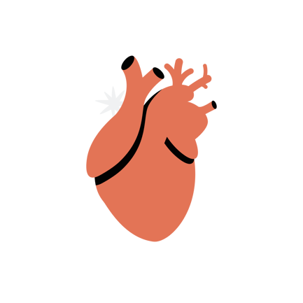 Anatomical Heart Illustration in Flat Style
