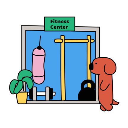 Gym Routine