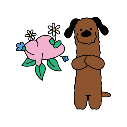 Gratitude Practice