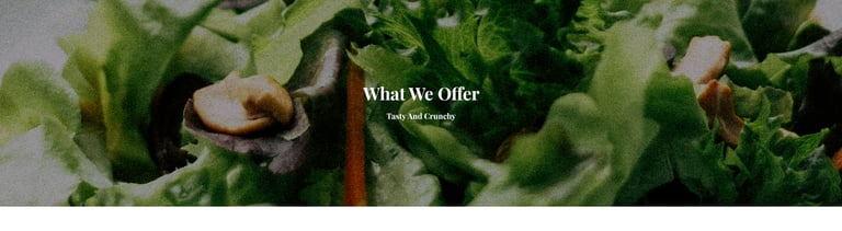 Especio - Food Blog Elementor Template Kit